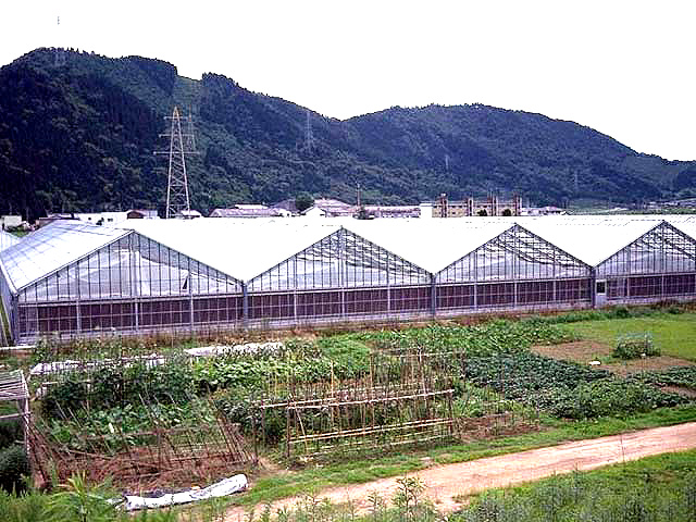rjnEX