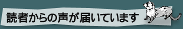 読者からの声