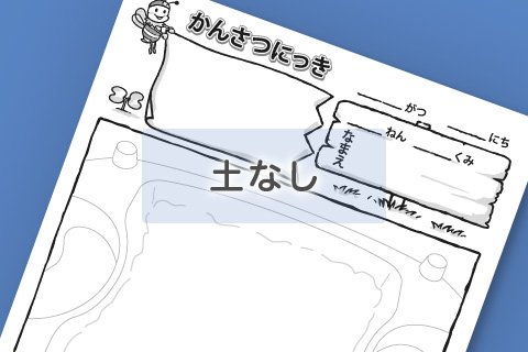 〔土なし〕1. 発芽～双葉・本葉が開く頃