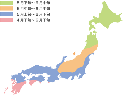 土づくり 種まき あさがおの育て方 あさがおを育てよう 文溪堂