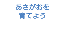 あさがおを育てよう Menu