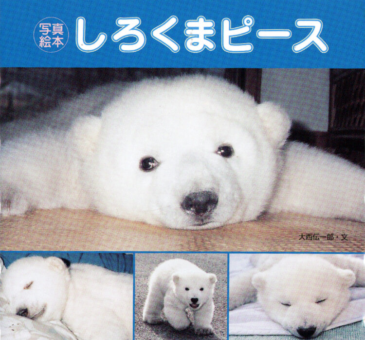 写真絵本しろくまピース | 児童書・一般書 | 文溪堂