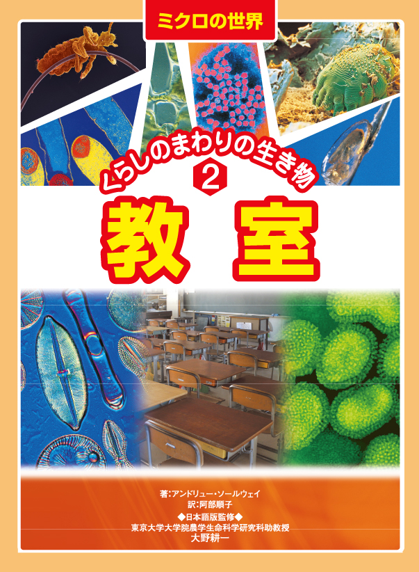 ミクロの世界～くらしのまわりの生き物2教室
