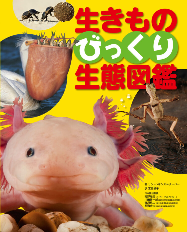 生きものびっくり生態図鑑