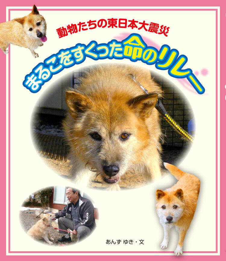まるこをすくった命のリレー