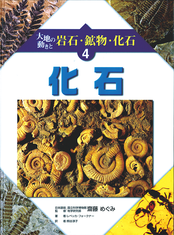 大地の動きと岩石・鉱物・化石4化石
