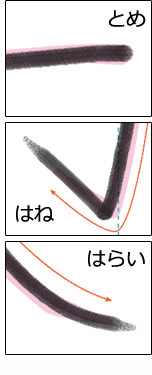 機能「とめ」「はね」「はらい」