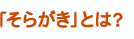 「そらがき」とは？