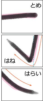 機能「とめ」「はね」「はらい」
