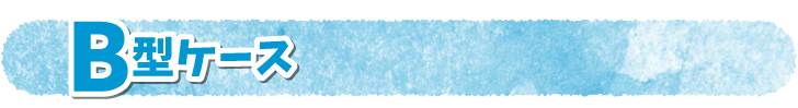 B型ケース