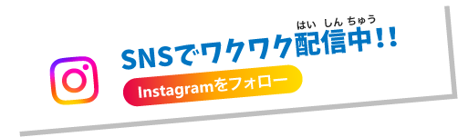 SNSでワクワク配信中！！　Instagramをフォロー