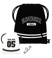 V-5 エモーショナル