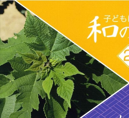 和紙