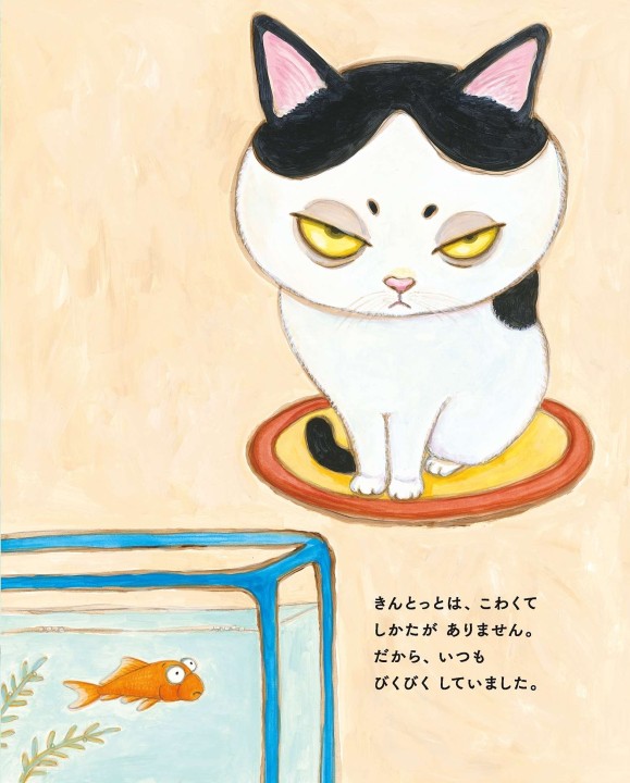 ねこはちときんとっと
