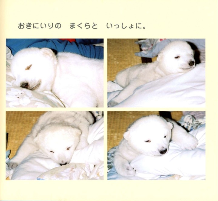 しろくまピース: 写真絵本