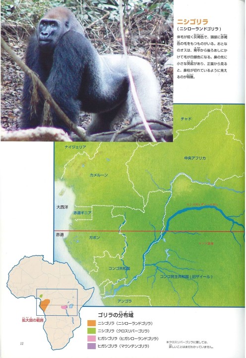 ゴリラ図鑑